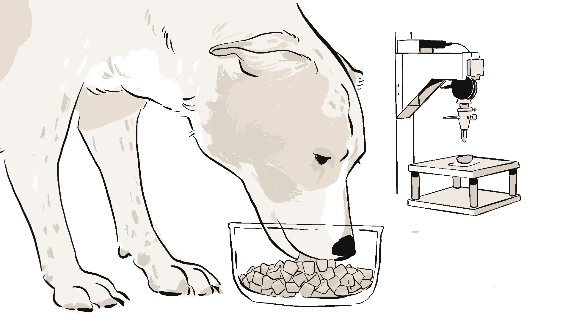 Illustration_sans_titre 90