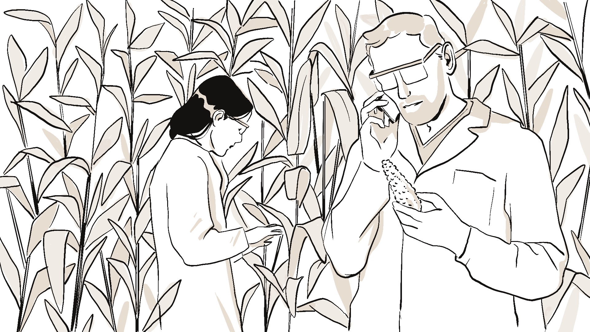 Illustration_sans_titre 91